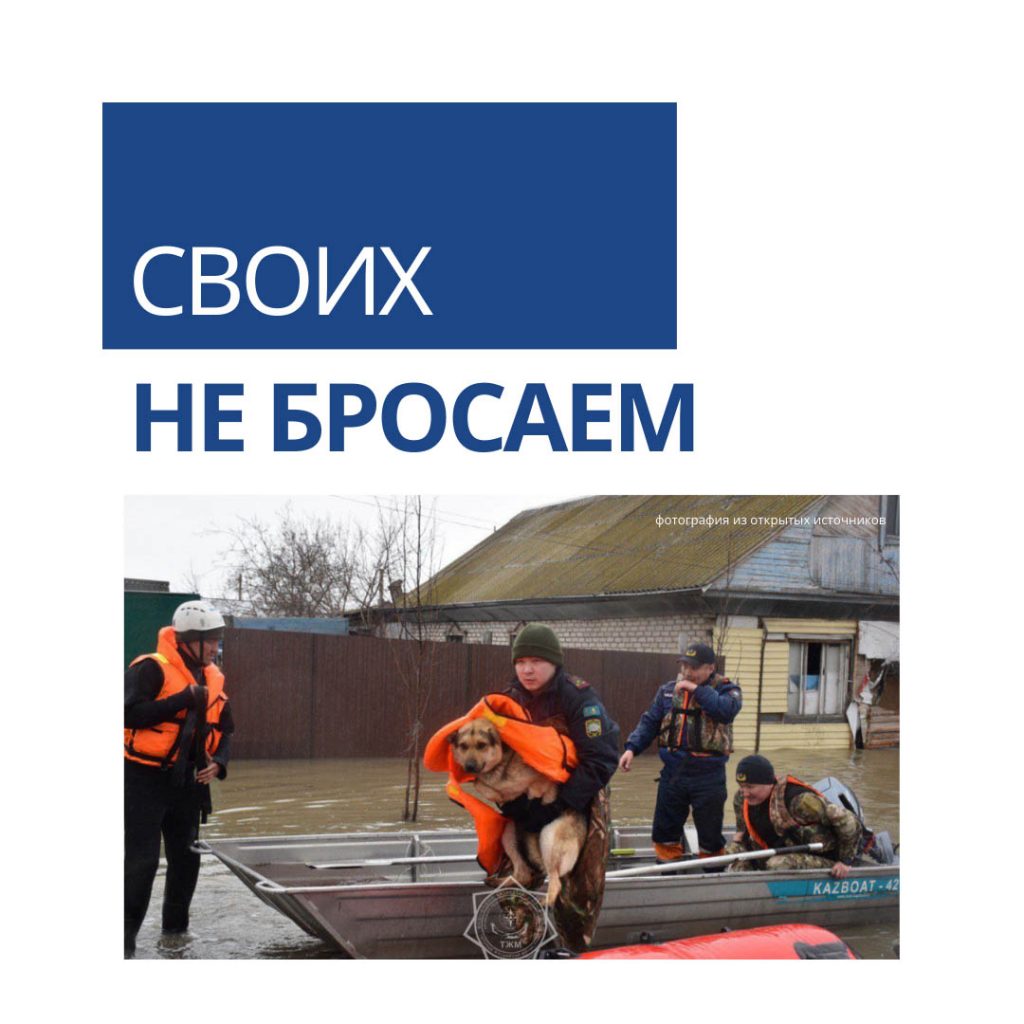 Своих не бросаем 9